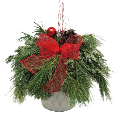 Tabletop Greenery